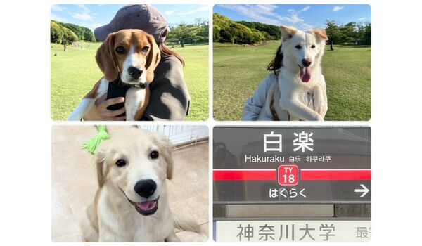 教室レッスン＆出張レッスンin白楽　～5月9日～