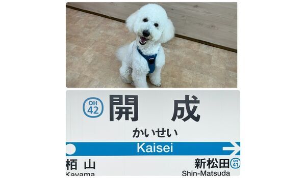 教室レッスン＆出張レッスンin足柄上郡開成町