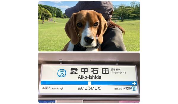 教室レッスン&出張レッスンin愛甲石田～5月22日～