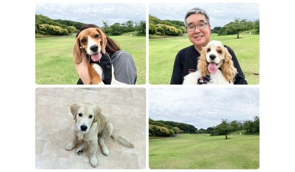 犬のしつけ教室・出張レッスン・無駄吠えの矯正レッスンを行うドッグスクールヴィッセの今日のわん子達。～5月30日～