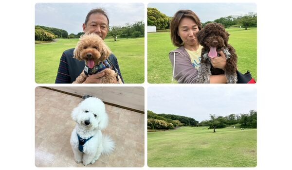 犬のしつけ教室・出張レッスン・無駄吠えの矯正レッスンを行うドッグスクールヴィッセの今日のわん子達。～6月6日～