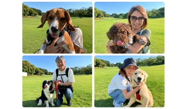 犬のしつけ教室・出張レッスン・無駄吠えの矯正レッスンを行うドッグスクールヴィッセの今日のわん子達。～6月13日～