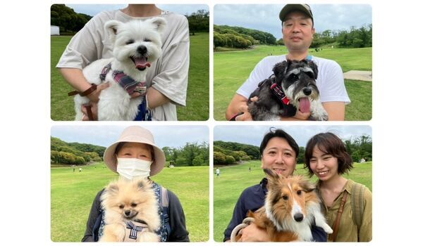 犬のしつけ教室・出張レッスン・無駄吠えの矯正レッスンを行うドッグスクールヴィッセの今日のわん子達。～6月15日～