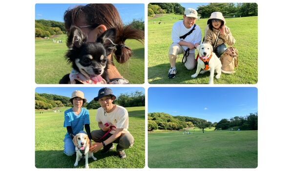 犬のしつけ教室・出張レッスン・無駄吠えの矯正レッスンを行うドッグスクールヴィッセの今日のわん子達。～6月16日～