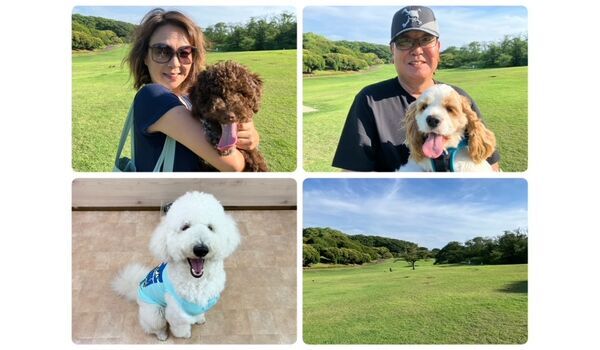 犬のしつけ教室・出張レッスン・無駄吠えの矯正レッスンを行うドッグスクールヴィッセの今日のわん子達。～6月19日～