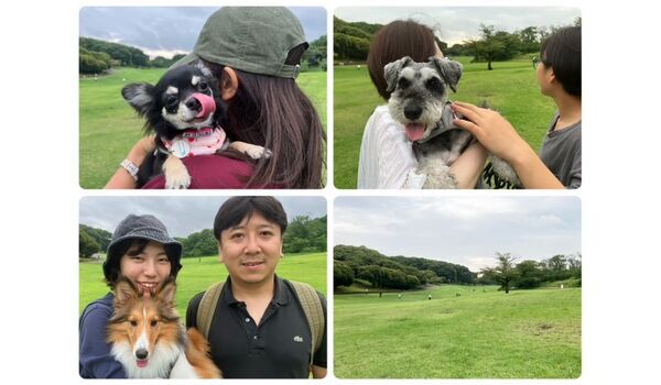 犬のしつけ教室・出張レッスン・無駄吠えの矯正レッスンを行うドッグスクールヴィッセの今日のわん子達。～6月23日～