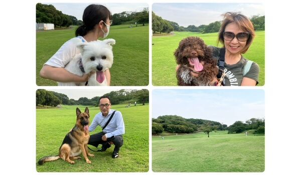 犬のしつけ教室・出張レッスン・無駄吠えの矯正レッスンを行うドッグスクールヴィッセの今日のわん子達。～6月26日～