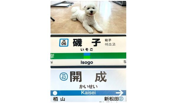 教室レッスン&出張レッスンin磯子⇒開成