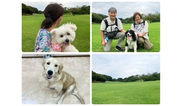 犬のしつけ教室・出張レッスン・無駄吠えの矯正レッスンを行うドッグスクールヴィッセの今日のわん子達。～7月11日～