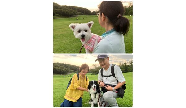 犬のしつけ教室・出張レッスン・無駄吠えの矯正レッスンを行うドッグスクールヴィッセの今日のわん子達。～7月25日～