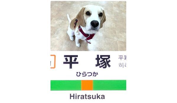 教室レッスン&出張レッスンin平塚　～7月26日～