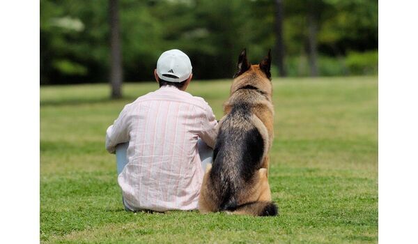犬のしつけ教室・出張レッスン・無駄吠えの矯正レッスンを行うドッグスクールヴィッセ/しつけと訓練の違い　～７月31日～