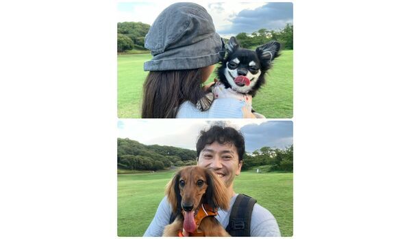 犬のしつけ教室・出張レッスン・無駄吠えの矯正レッスンを行うドッグスクールヴィッセの今日のわん子達。～8月7日～