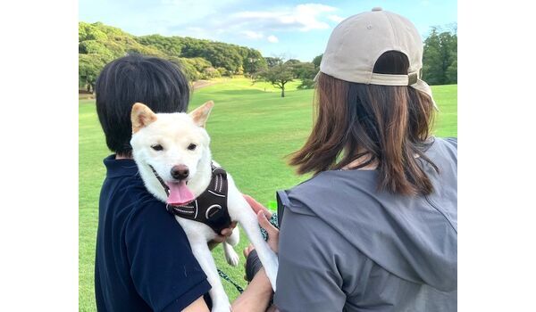犬のしつけ教室・出張レッスン・無駄吠えの矯正レッスンを行うドッグスクールヴィッセの今日のわん子達。～8月10日～