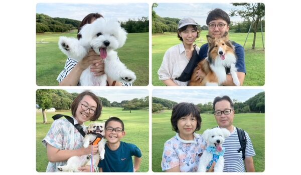 犬のしつけ教室・出張レッスン・無駄吠えの矯正レッスンを行うドッグスクールヴィッセの今日のわん子達。～8月11日～