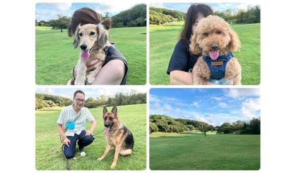 犬のしつけ教室・出張レッスン・無駄吠えの矯正レッスンを行うドッグスクールヴィッセの今日のわん子達。～8月23日～