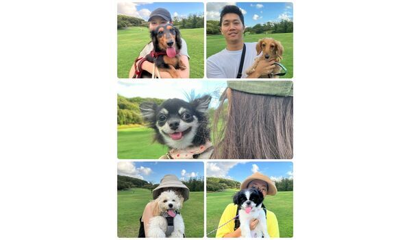 犬のしつけ教室・出張レッスン・無駄吠えの矯正レッスンを行うドッグスクールヴィッセの今日のわん子達。　～8月25日～