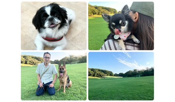 犬のしつけ教室・出張レッスン・無駄吠えの矯正レッスンを行うドッグスクールヴィッセの今日のわん子達。～9月4日～