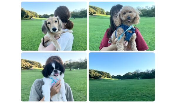 犬のしつけ教室・出張レッスン・無駄吠えの矯正レッスンを行うドッグスクールヴィッセの今日のわん子達です。～9月13日～