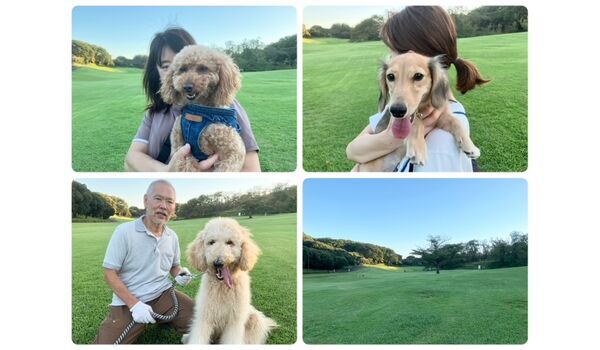 犬のしつけ教室・出張レッスン・無駄吠えの矯正レッスンを行うドッグスクールヴィッセの今日のわん子達。～9月20日～