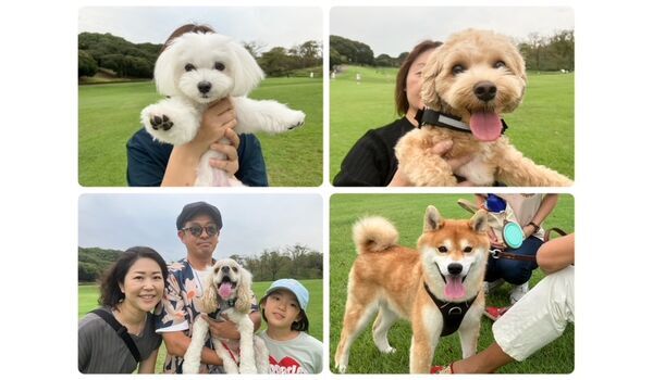 犬のしつけ教室・出張レッスン・無駄吠えの矯正レッスンを行うドッグスクールヴィッセの今日のわん子達。～9月28日～