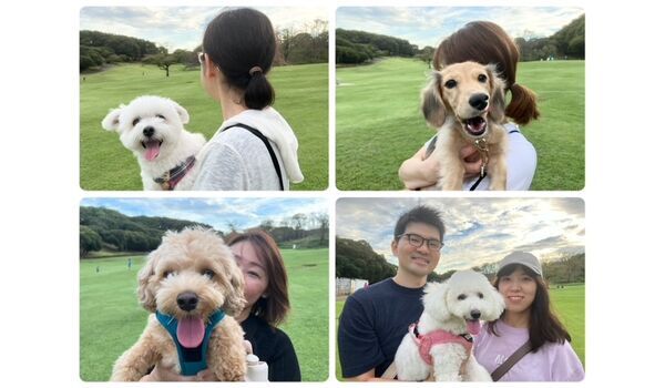 犬のしつけ教室・出張レッスン・無駄吠えの矯正レッスンを行うドッグスクールヴィッセの今日のわん子達。～10月4日～
