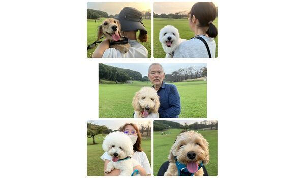 犬のしつけ教室・出張レッスン・無駄吠えの矯正レッスンを行うドッグスクールヴィッセの今日のわん子達。～10月18日～