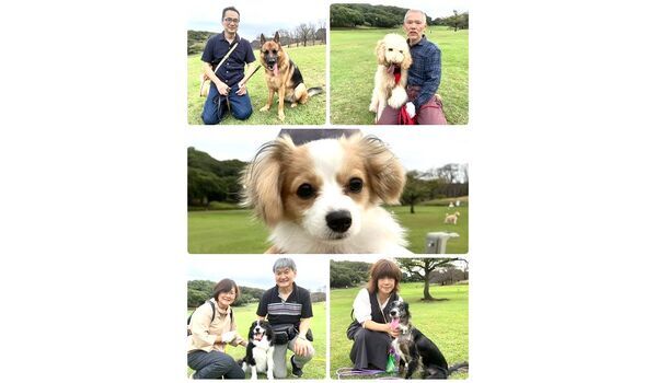 犬のしつけ教室・出張レッスン・無駄吠えの矯正レッスンを行うドッグスクールヴィッセの今日のアイリッシュセッターのMix日～