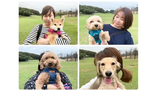 犬のしつけ教室・出張レッスン・無駄吠えの矯正レッスンを行うドッグスクールヴィッセの今日のわん子達。～10月25日～