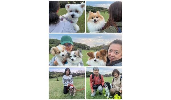 犬のしつけ教室・出張レッスン・無駄吠えの矯正レッスンを行うドッグスクールヴィッセの今日のわん子達。～10月31日～
