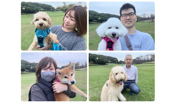 犬のしつけ教室・出張レッスン・無駄吠えの矯正レッスンを行うドッグスクールヴィッセの今日のわん子達。～11月1日～