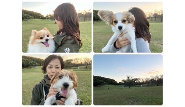 犬のしつけ教室・出張レッスン・無駄吠えの矯正レッスンを行うドッグスクールヴィッセの今日のわん子達。～11月7日～