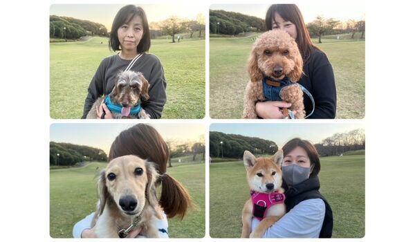 犬のしつけ教室・出張レッスン・無駄吠えの矯正レッスンを行うドッグスクールヴィッセの今日のわん子達。～11月8日～
