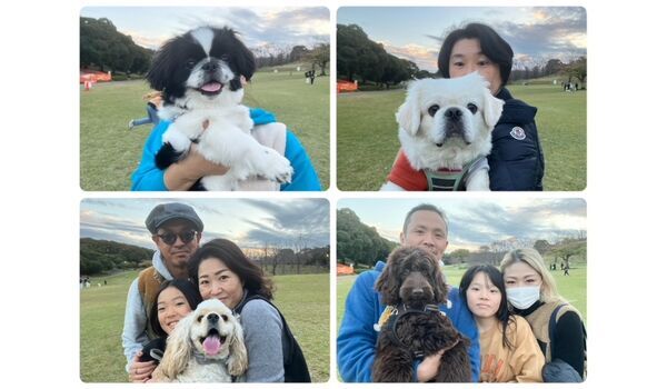 犬のしつけ教室・出張レッスン・無駄吠えの矯正レッスンを行うドッグスクールヴィッセの今日のわん子達。～11月9日～