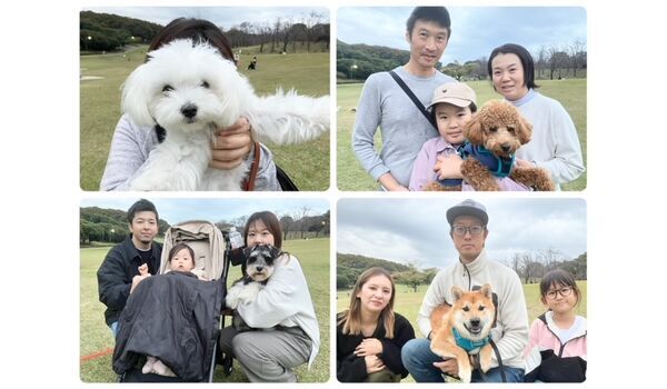 犬のしつけ教室・出張レッスン・無駄吠えの矯正レッスンを行うドッグスクールヴィッセの今日のわん子達。～11月10日～