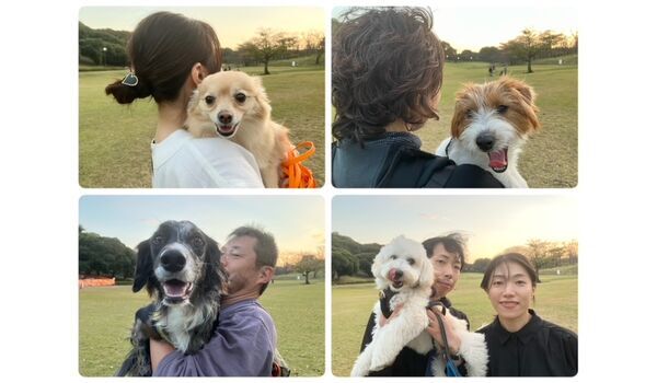 犬のしつけ教室・出張レッスン・無駄吠えの矯正レッスンを行うドッグスクールヴィッセの今日のわん子達。～11月13日～