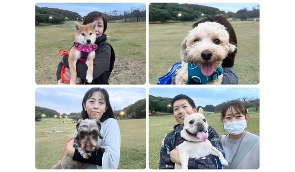 犬のしつけ教室・出張レッスン・無駄吠えの矯正レッスンを行うドッグスクールヴィッセの今日のわん子達。～11月15日～