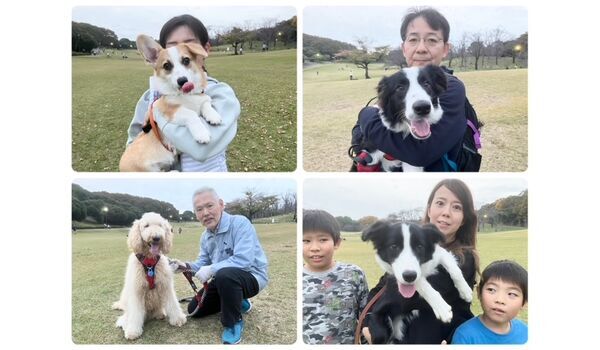 犬のしつけ教室・出張レッスン・無駄吠えの矯正レッスンを行うドッグスクールヴィッセの今日のわん子達。～11月16日～