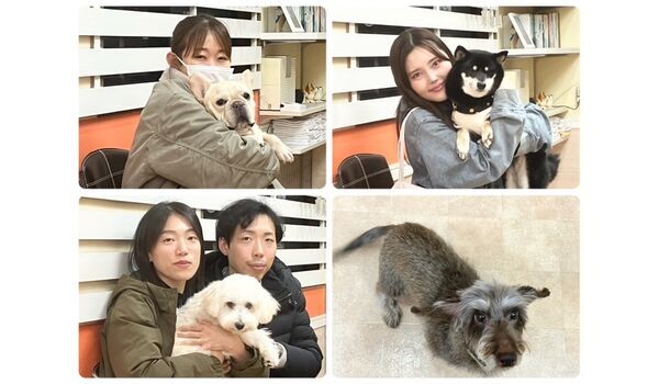 犬のしつけ教室・出張レッスン・無駄吠えの矯正レッスンを行うドッグスクールヴィッセの今日のわん子達です。～11月20日～
