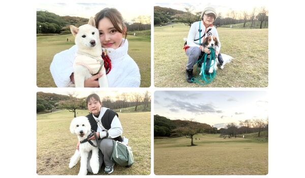 犬のしつけ教室・出張レッスン・無駄吠えの矯正レッスンを行うドッグスクールヴィッセの今日のわん子達。～11月21日～