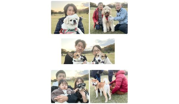 犬のしつけ教室・出張レッスン・無駄吠えの矯正レッスンを行うドッグスクールヴィッセの今日のわん子達。～11月24日～