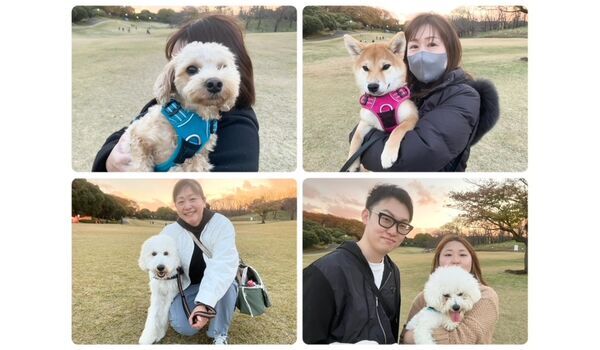 犬のしつけ教室・出張レッスン・無駄吠えの矯正レッスンを行うドッグスクールヴィッセの今日のわん子達。～11月29日～