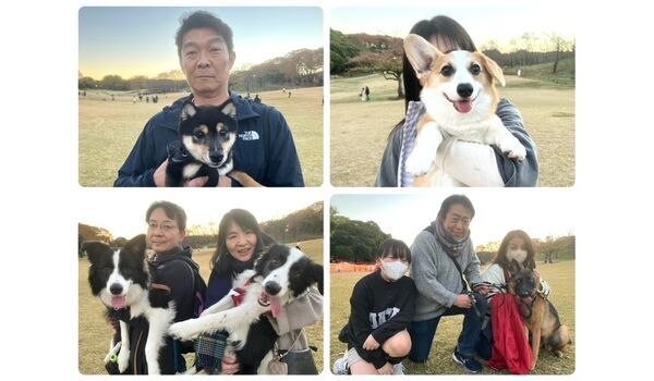 犬のしつけ教室・出張レッスン・無駄吠えの矯正レッスンを行うドッグスクールヴィッセの今日のわん子達。～11月30日～