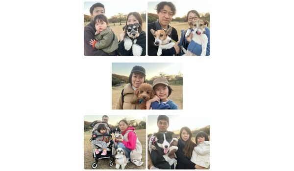 犬のしつけ教室・出張レッスン・無駄吠えの矯正レッスンを行うドッグスクールヴィッセの今日のわん子達。～12月1日～
