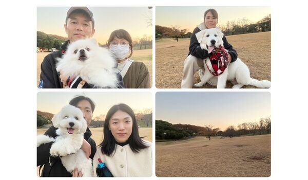 犬のしつけ教室・出張レッスン・無駄吠えの矯正レッスンを行うドッグスクールヴィッセの今日のわん子達。～12月4日～