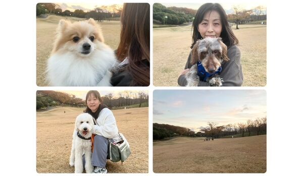 犬のしつけ教室・出張レッスン・無駄吠えの矯正レッスンを行うドッグスクールヴィッセの今日のわん子達。～12月5日～