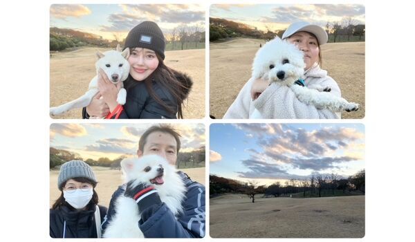 犬のしつけ教室・出張レッスン・無駄吠えの矯正レッスンを行うドッグスクールヴィッセの今日のわん子達。～12月12日～