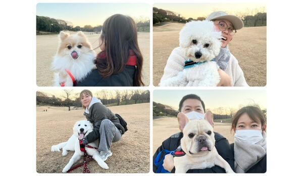 犬のしつけ教室・出張レッスン・無駄吠えの矯正レッスンを行うドッグスクールヴィッセの今日のわん子達。～12月19日～