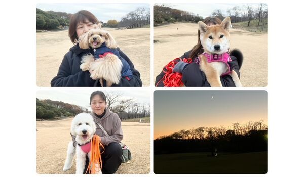 犬のしつけ教室・出張レッスン・無駄吠えの矯正レッスンを行うドッグスクールヴィッセの今日のわん子達。～12月20日～