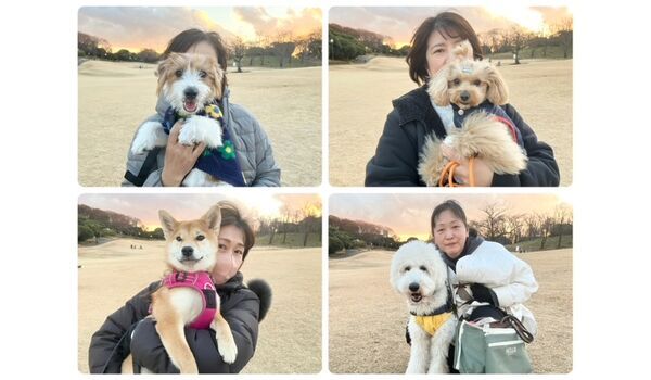 犬のしつけ教室・出張レッスン・無駄吠えの矯正レッスンを行うドッグスクールヴィッセの今日のわん子達。～12月27日～